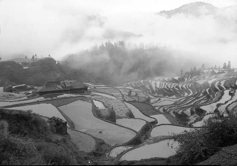 贵州加榜梯田 摄影 葱岭人