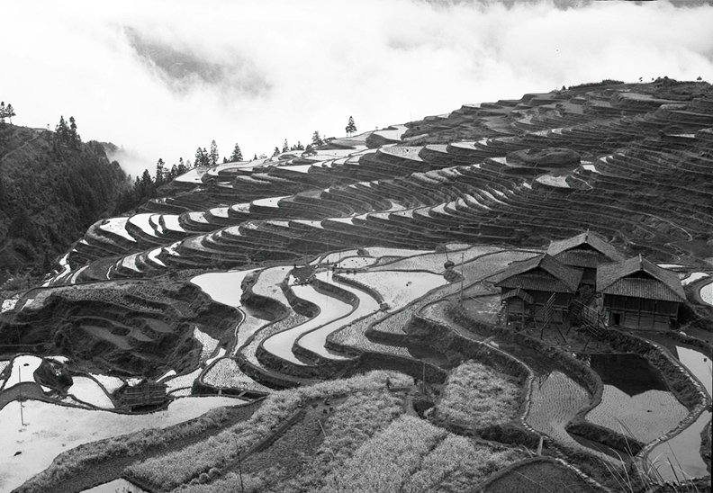 贵州加榜梯田 摄影 葱岭人