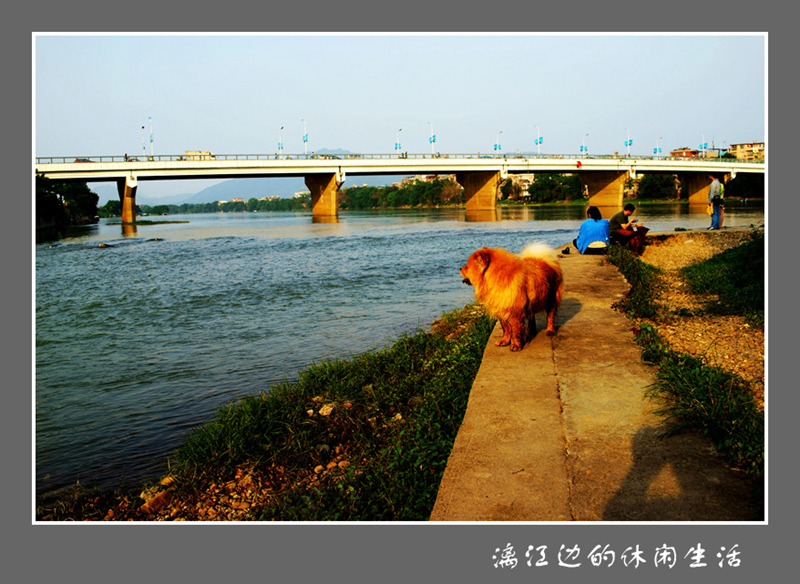 《休闲-桂林》 摄影 若虫