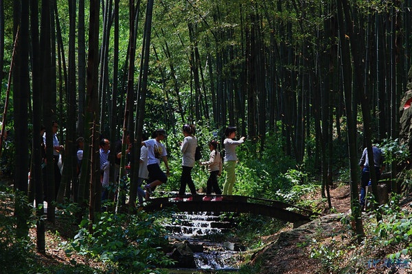 南山竹海小桥流水 摄影 蓝巧克力