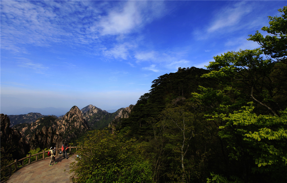 黄山-2 摄影 婉约