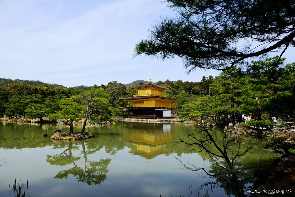 【東瀛花路拾日譚の金阁寺】 摄影 狂来舞剑