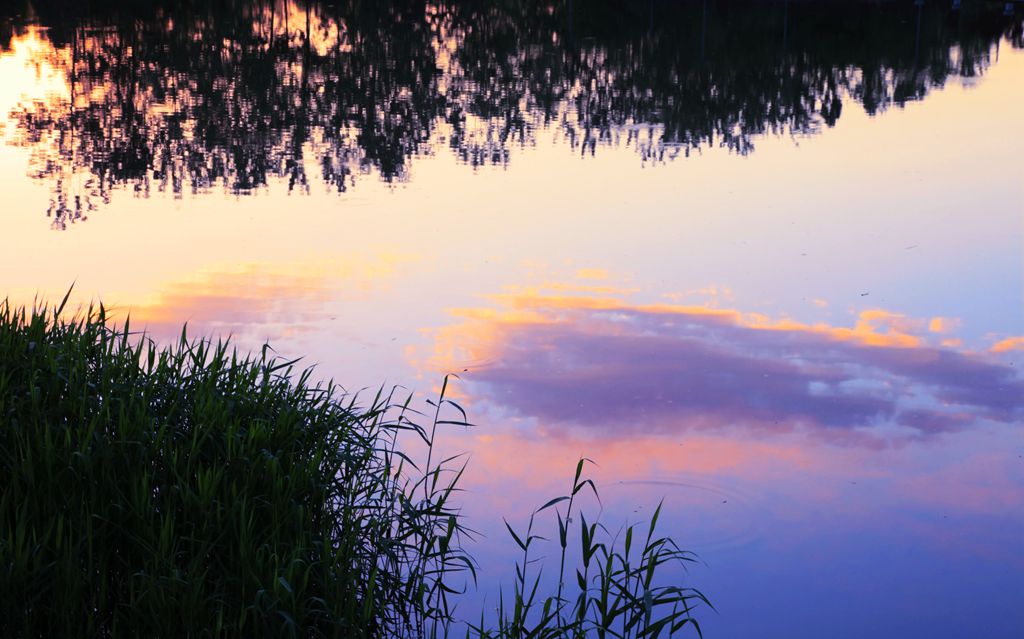 夕阳铺水 摄影 鸿言