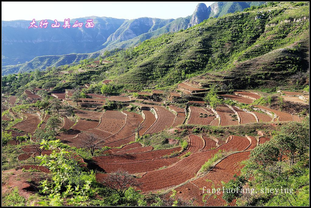 太行山美如画-梯田片 摄影 房摞房