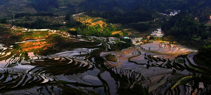 酉阳梯田 摄影 yanxiaohua