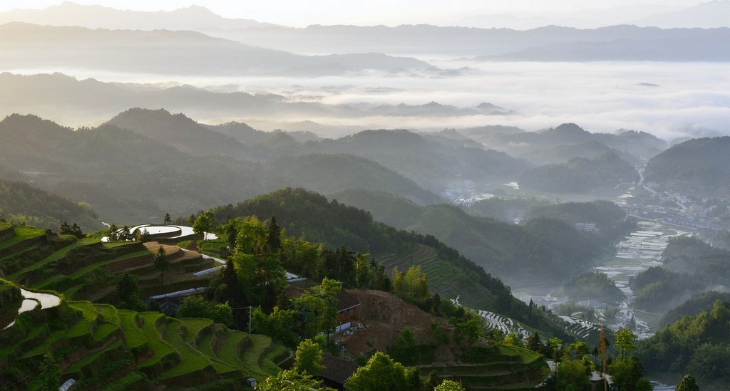 紫鹊界晨雾 摄影 摄望旅途