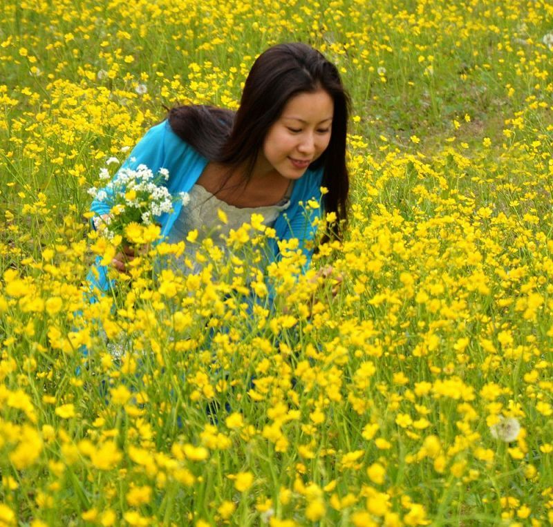 黄花丛中美人娇 摄影 皓月郑顺安