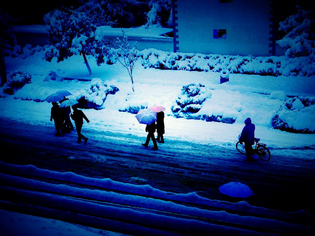 风雪夜归人 摄影 小茵儿