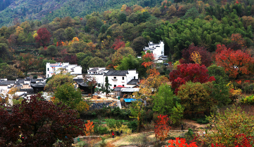 塔川秋色2 摄影 路过游侠