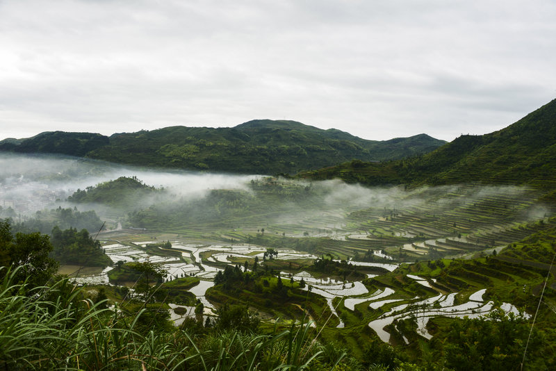 梯田风光 摄影 茗岙老胡