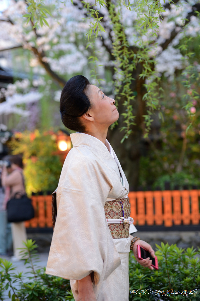 【東瀛花路拾日譚の花见小路祗园角】05 摄影 狂来舞剑