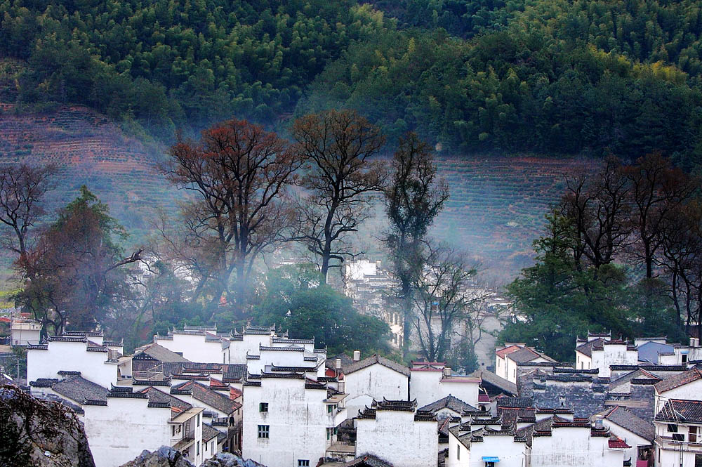 雾罩山村 摄影 影海叶舟