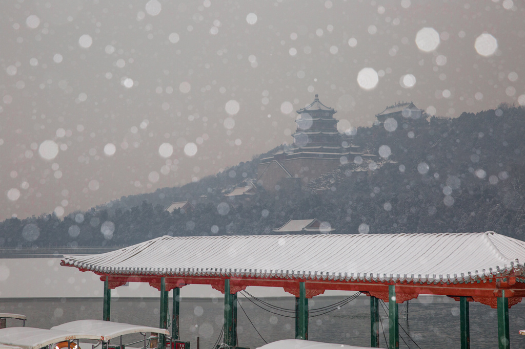 颐和园春雪37 摄影 楚天舒