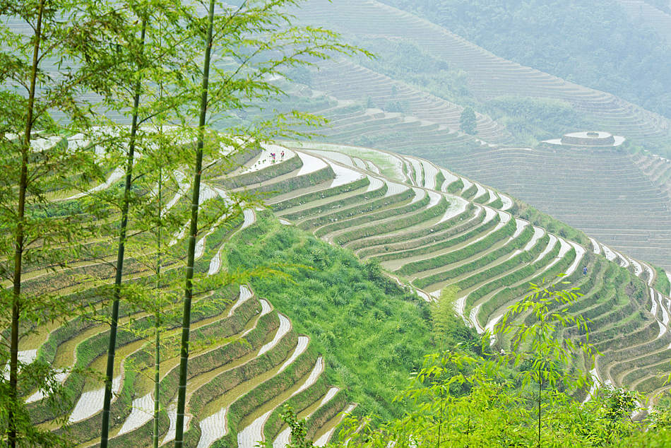 山乡春来早 摄影 桃花江