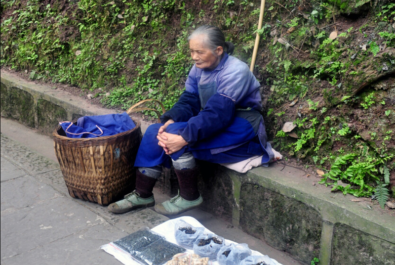 峨眉山卖药的老奶奶 摄影 简单1234