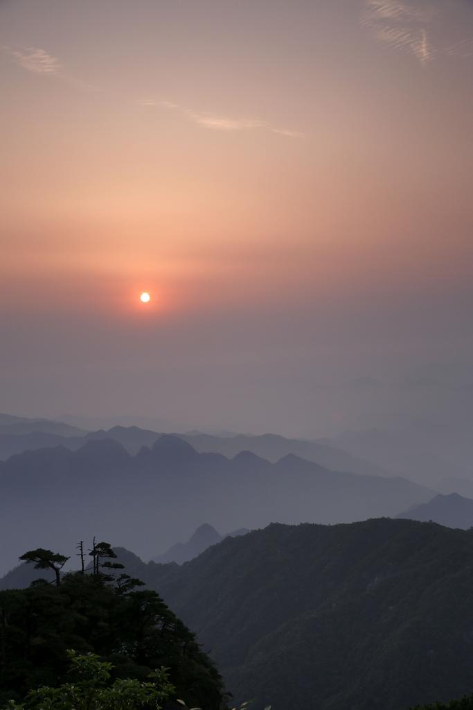 旭日 摄影 山野骏马