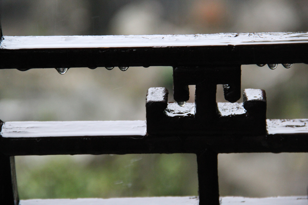 在雨中之二 摄影 梵老爹