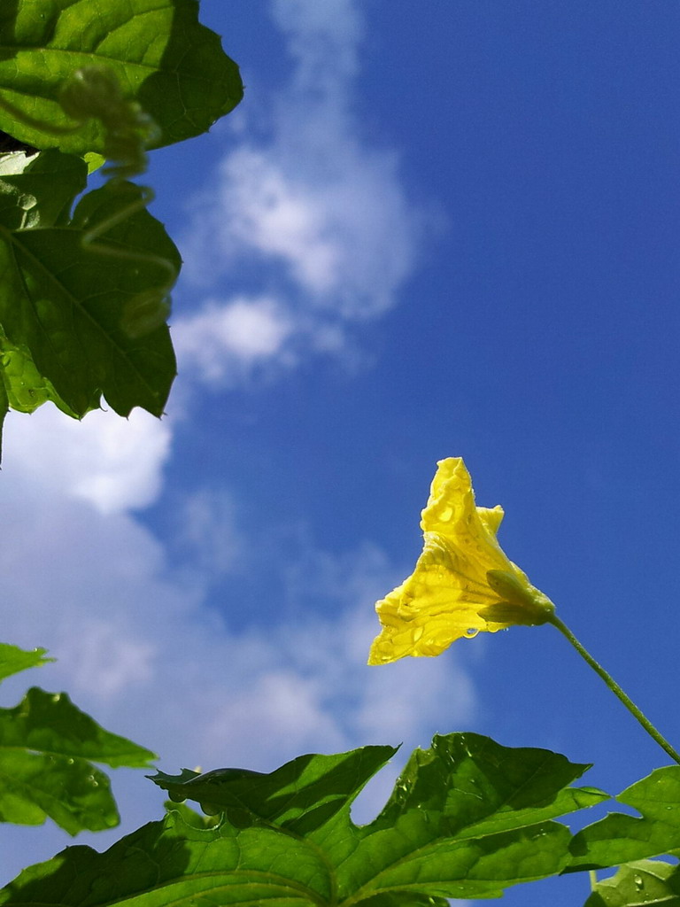 《生机与希望》 摄影 老驴头