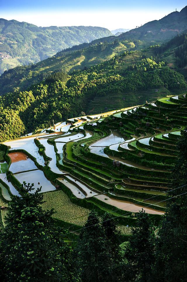 梯田小景 摄影 森山人