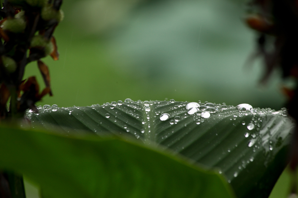 雨季 摄影 米汤糊