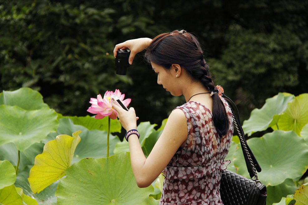 花丛光影 摄影 金玉满堂