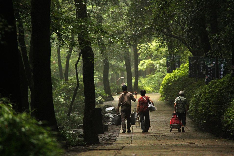 悠悠虎跑水 摄影 金玉满堂