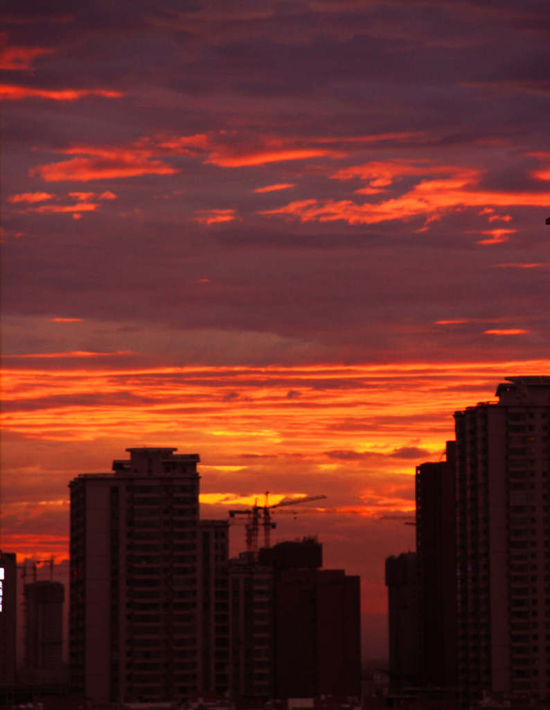 都市夕阳红 摄影 淡淡绿茶