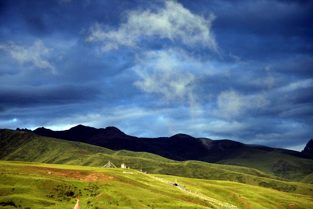 风景 摄影 殘葉冰封