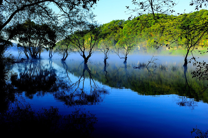 晨雾 摄影 SeoGuangDeok