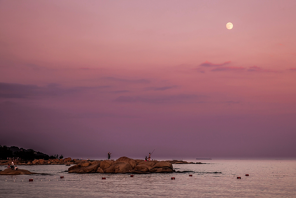 夕垂  盛夏 摄影 森林之歌