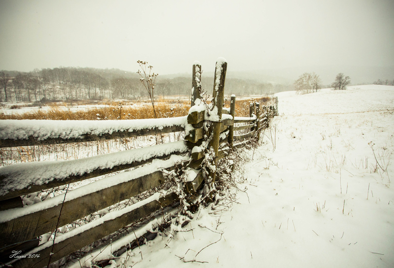 Long Fence 摄影 禾惠子