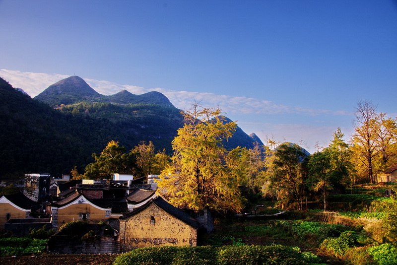 秋润山村 摄影 旧梦无痕