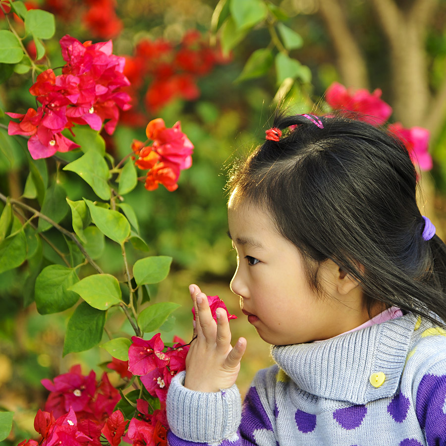 花季 摄影 朋友