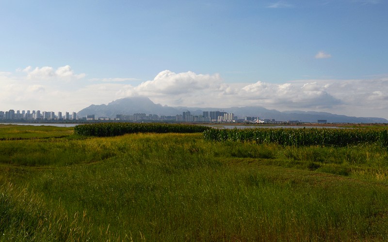 夏日黄河 摄影 海逍遥