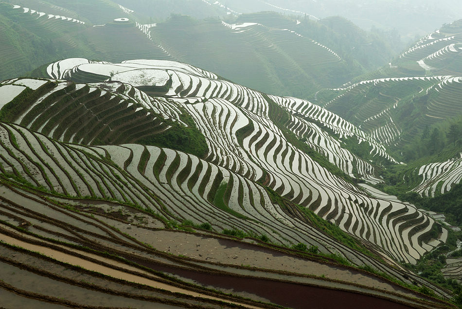 龙脊梯田 摄影 桃花江