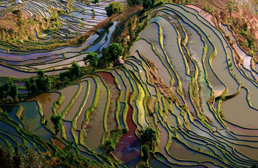 大地飞歌 摄影 wangshihua