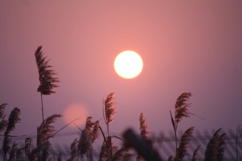 冬日 摄影 幸福的鼻涕