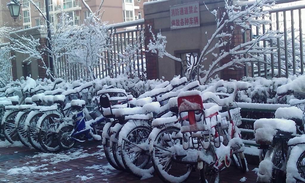 北京春雪 摄影 老黄酒