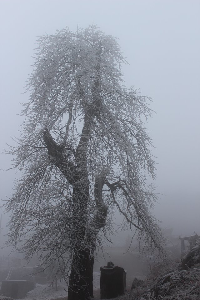 雪 摄影 体验人生