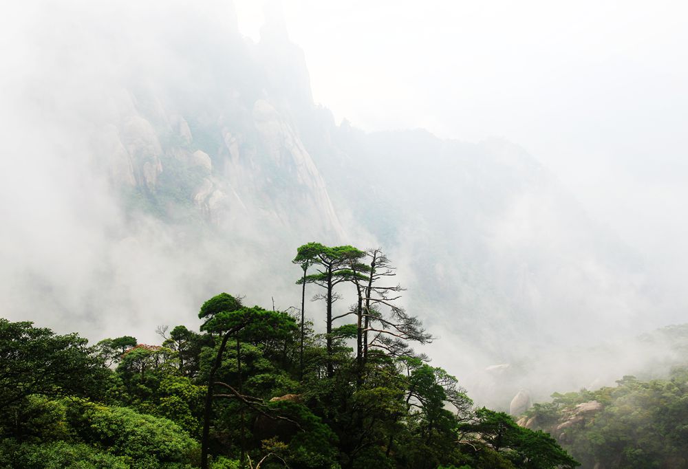 松绿群山 摄影 冠头领