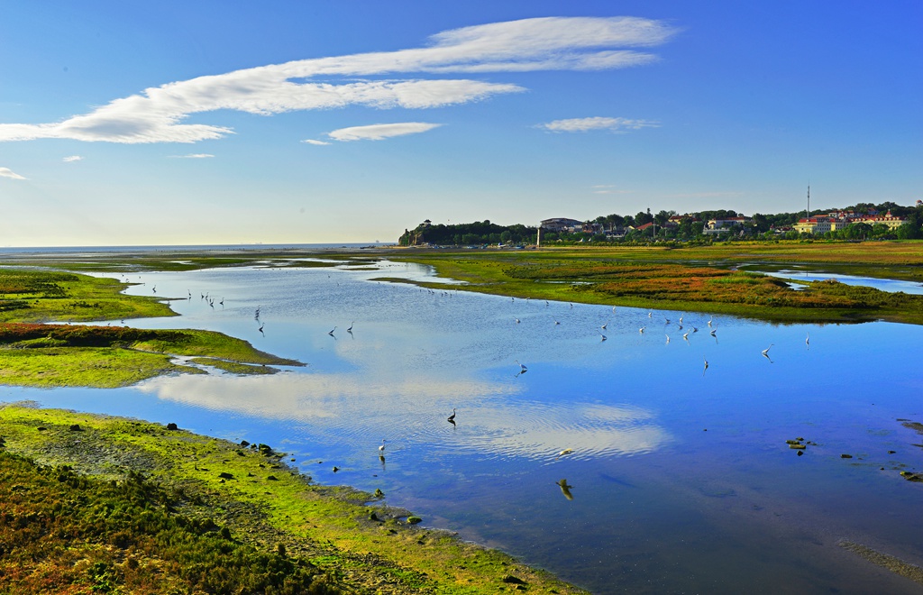 湿地云水 摄影 baigui