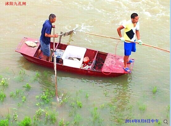 捕鱼 摄影 沭阳人俊哥