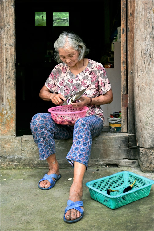 守候老人 摄影 善缘若水