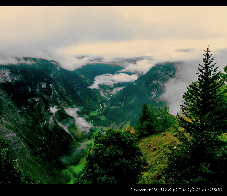 格蒙登山谷--奥地利风光 摄影 大山里的猫