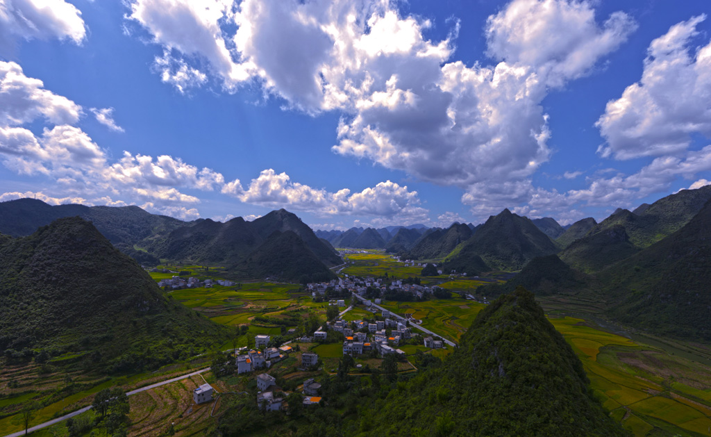 秋天 摄影 夏雨玫