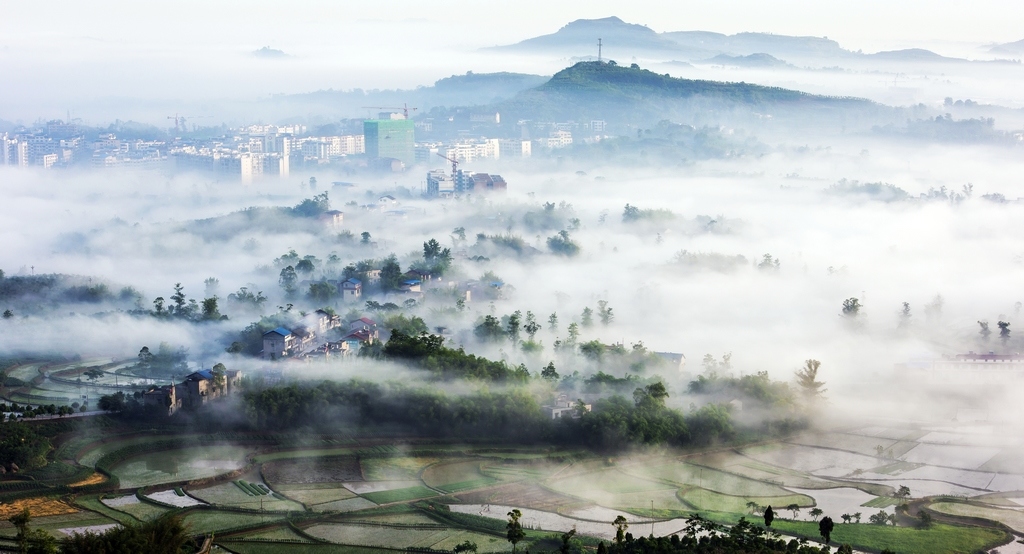 三月春光秀山乡 摄影 山之影