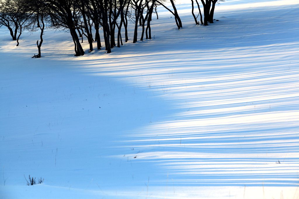 坝上那些雪景15（请点大图） 摄影 色谷饥仙