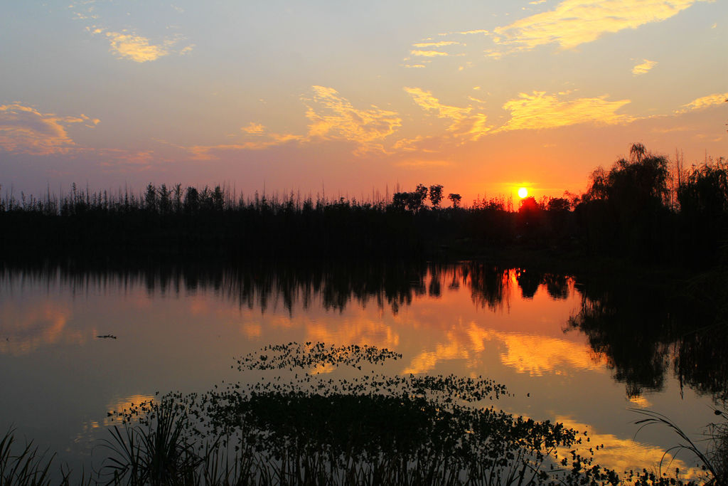 夕照白鹭湾 摄影 西风独影