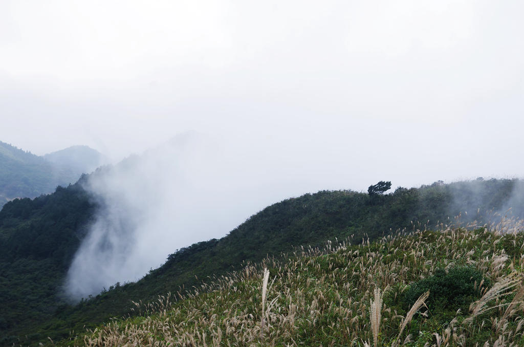 探访大围山 摄影 寒心