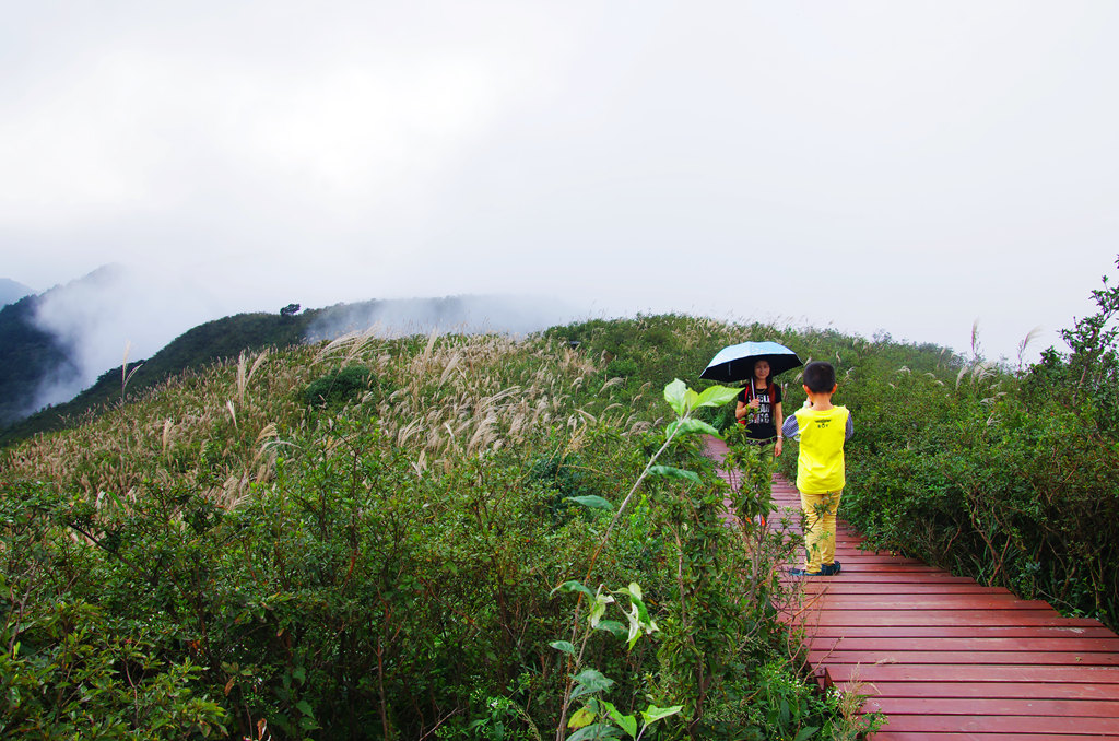 探访大围山 摄影 寒心